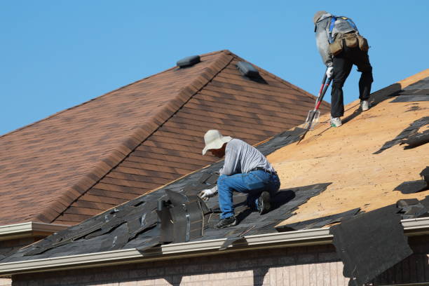 Best Solar Panel Roofing Installation  in Baywood Park, CA